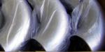 inconel 600 elbow